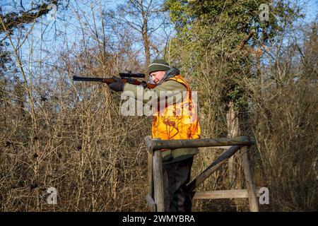 Francia Alsazia foresta del Reno, caccia alla selvaggina, un cacciatore si unisce al suo posto di caccia (una piccola torre di guardia) Foto Stock