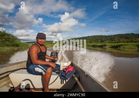 Francia, Guyana francese, missione di raccolta del veleno del laboratorio Venometech, paludi di Kaw Foto Stock