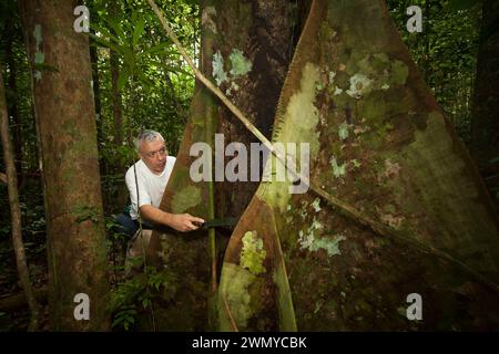 Francia, Guyana francese, missione di raccolta del veleno del laboratorio Venometech, Petit Saut Foto Stock