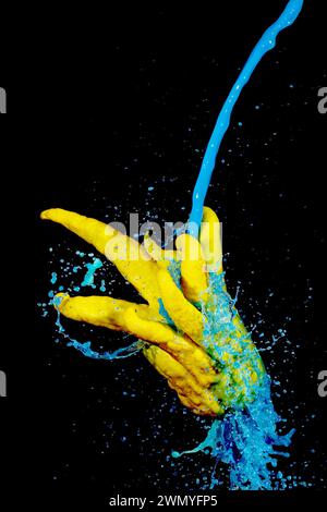 Spruzzi dinamici di vernice blu che si scontrano con la mano di un Buddha in citrone su uno sfondo scuro, creando un contrasto visivamente sorprendente Foto Stock