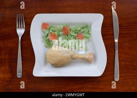 Dall'immagine concettuale sopra raffigura un pasto realizzato in sacchetti di plastica a forma di cibo, servito su un piatto di ceramica bianca, con una vera forchetta e un coltello Foto Stock