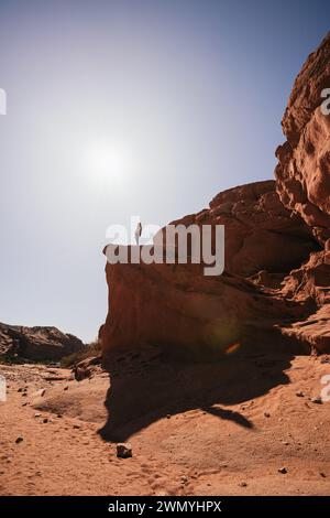 Un avventuriero solitario sorge su una formazione rocciosa di arenaria sotto il sole luminoso nell'area desertica di Purmamarca, nel nord dell'Argentina. Foto Stock