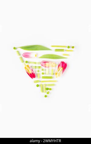 Uno studio artistico di tulipani colorati disposti in modo creativo con steli e foglie su sfondo bianco, a simboleggiare la freschezza primaverile. Foto Stock
