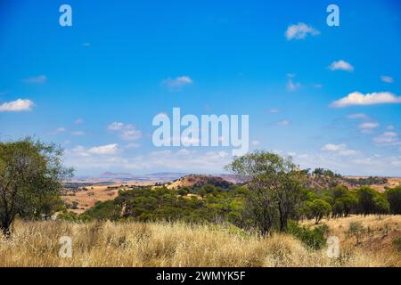 Vista del paese collinare nell'area di Greater Geraldton, Australia Occidentale, una zona di transizione tra la cintura del grano e l'entroterra Foto Stock