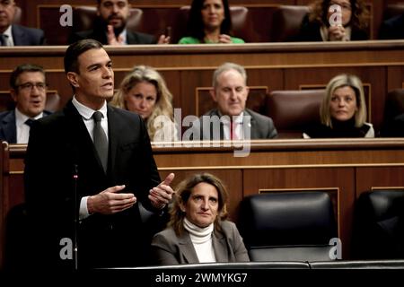 Madrid Spagna; 02/28/2024.- sessione plenaria del Congresso dei deputati del Regno di Spagna, segnata dal caso di corruzione denominato "Koldo". Pedro Sánchez, presidente del governo spagnolo, e Alberto Núñez Feijóo, leader del Partito Popolare (un partito che è stato condannato per corruzione) entrano in una discussione sulla corruzione. Foto: Juan Carlos Rojas Foto Stock