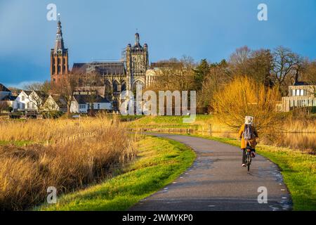 St La Cattedrale di Giovanni a 's-Hertogenbosch vista dalla riserva naturale Bossche Broek Foto Stock