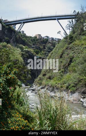 Un ponte su una gola profonda, Ecuador Foto Stock