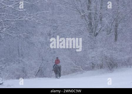 Una giovane donna con un cappotto rosso cavalca un cavallo in una bufera di neve attraverso i boschi di Yarmouth, Maine, Stati Uniti Foto Stock