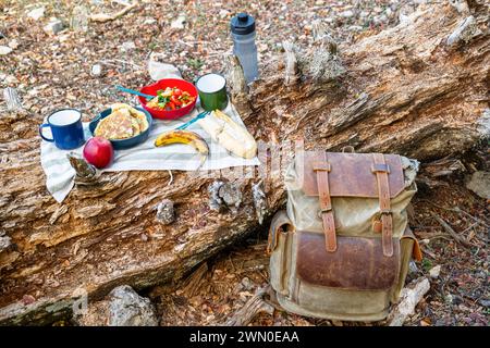 Gli escursionisti si godono un picnic sulla cima di un tronco, circondati dalla natura, dallo zaino e dal palo da trekking. Foto Stock