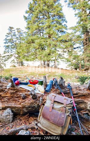 Gli escursionisti si godono un picnic sulla cima di un tronco, circondati dalla natura, dallo zaino e dal palo da trekking. Foto Stock