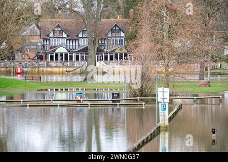 Wallingford, Oxfordshire, Regno Unito. 28 febbraio 2024. Il fiume Tamigi a Wallingford, Oxfordshire, ha fatto scoppiare di nuovo le sue rive. Un allarme alluvione rimane in atto per il fiume Tamigi a Wallingford. Anche se i livelli dei fiumi stanno iniziando a scendere, le forti piogge sono previste per domani e venerdì, il che potrebbe peggiorare le inondazioni. Crediti: Maureen McLean/Alamy Live News Foto Stock