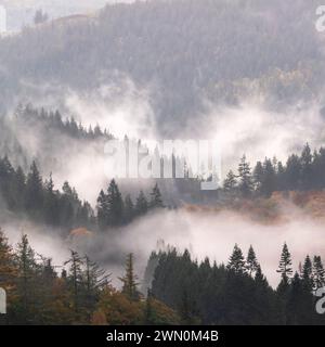 Valle di Misty nel Galles settentrionale con boschi misti Foto Stock