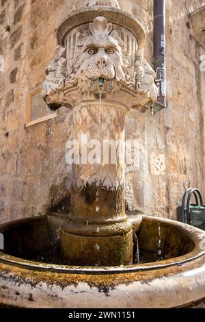 Antica fontana storica con facciata di leone e decorazioni floreali in pietra bianca. Dubrovnik, Croazia Foto Stock