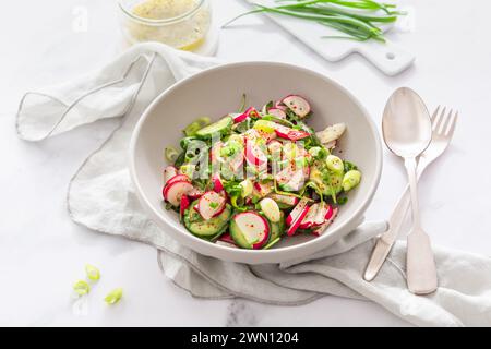 Insalata sana di ravanelli e cetrioli con condimento e cipolle verdi. Foto Stock