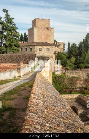 Vista di parte delle mura e del castello di Ciudad Rodrigo in Spagna. Foto Stock