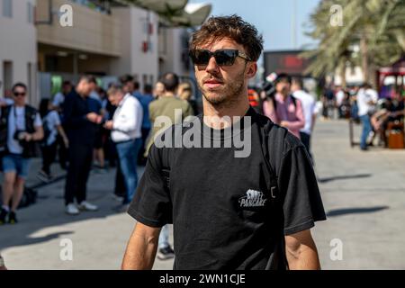 Sakhir, Bahrein, febbraio 28, Pierre Gasly, francese gareggia per Alpine. L'allestimento, primo round del campionato di Formula 1 2024. Crediti: Michael Potts/Alamy Live News Foto Stock