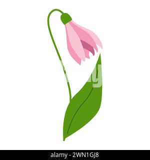 Gocce di neve disegnate a mano, fiori primaverili, foglie floreali e verdi. Elementi botanici in fiore multicolore per i progetti. Illustrazione vettoriale piatta isolata Illustrazione Vettoriale