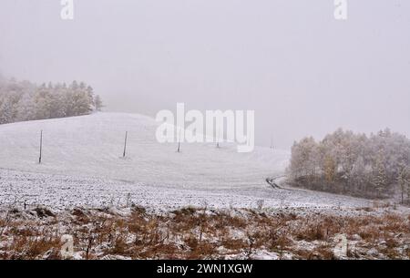 Un'alta collina calva con pali elettrici, vicino a una fitta foresta coperta dalla prima neve. Foto Stock