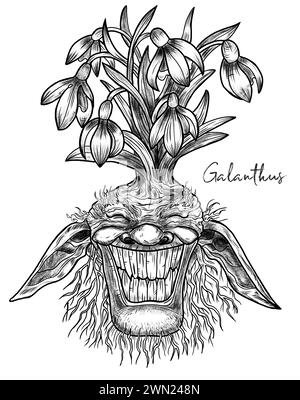 Illustrazioni incise disegnate a mano con simpatico volto demoniaco o gnomo come radice del bellissimo fiore primaverile di Galanthus isolato su bianco, fantasia da giardino e. Foto Stock