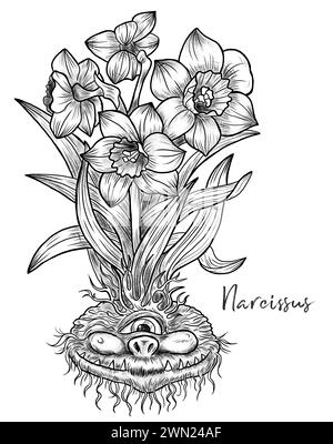 Illustrazioni incise disegnate a mano con simpatico volto demoniaco o gnomo come radice del bellissimo fiore primaverile di Narciso isolato su bianco, fantasia da giardino e. Foto Stock