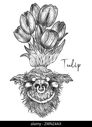 Illustrazioni incise disegnate a mano con simpatico volto demoniaco o gnomo come radice del bellissimo fiore primaverile di Tulip isolato su bianco, fantasia da giardino e myt Foto Stock