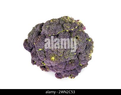 broccoli viola davanti a sfondo bianco Foto Stock