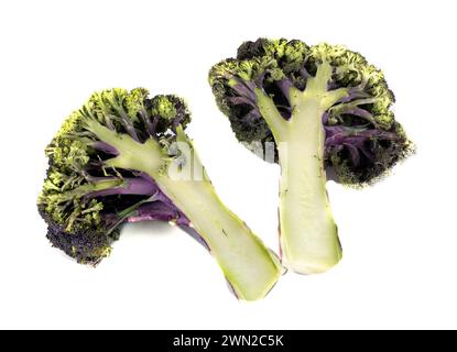 broccoli viola davanti a sfondo bianco Foto Stock