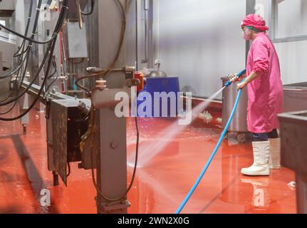 I lavoratori utilizzano un getto d'acqua ad alta pressione per pulire il pavimento nel processo a base di carne di pollo. Foto Stock