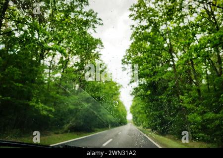 Vista in prima persona: Guida attraverso una foresta primaverile durante la pioggia. Cadute sul parabrezza e fondo stradale sfocato - messa a fuoco selettiva. Foto Stock