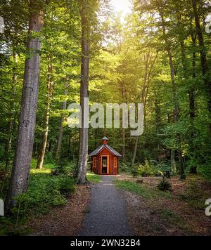Piccola cappella nella foresta decidua. Sentiero stretto per una piccola capanna di legno in una foresta verde. Il sole splende attraverso spesse corone d'albero. Foto Stock