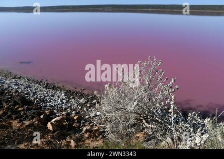 La laguna di Hutt è un lago salato marino situato 2 km (1,2 miglia) a nord della foce del fiume Hutt, nella regione Mid-West dell'Australia Occidentale Foto Stock