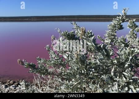 La laguna di Hutt è un lago salato marino situato 2 km (1,2 miglia) a nord della foce del fiume Hutt, nella regione Mid-West dell'Australia Occidentale Foto Stock