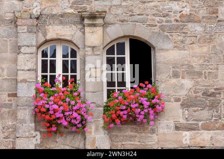 Due finestre in una casa storica, decorazioni floreali, centro storico di Guingamp, dipartimento Cotes-d'Armor, Bretagna, Francia Foto Stock