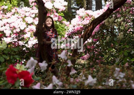 16/05/21 Hettie Lewin, 10. Rododendri e azalee a Lee Gardens, vicino a Matlock, nel Derbyshire, sono finalmente in piena fioritura. Il proprietario Pete Tye ha detto: ÒThe Foto Stock