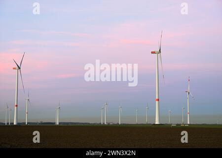 Windkraftanlagen... Energiegewinnung, Erneuerbare energie Nordrhein-Westfalen , Windanlagen, Windräder, Windenergiepark, Windturbinen, Windpark in der Kölner Bucht bei schönem Wetter vor verschmutztem Himmel, verschmutzter Luft, Regierungsbezirk Kö turbine eoliche, parco di turbine eoliche, parco eolico, mulini a vento, energia eolica su terreni agricoli, energia rinnovabile con aria inquinata sull'orizzonte, NRW, Germania. Nordrhein-Westfalen Deutschland, Westeuropa Foto Stock