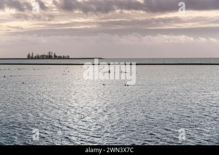 Sereno crepuscolo sul prato allagato e cancello accanto a una diga, tranquillo lago che riflette la luce soffusa del sole che tramonta. Gli uccelli galleggiano dolcemente sulla superficie dell'acqua Foto Stock