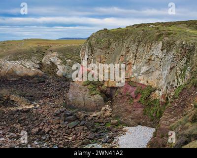 Colorate scogliere costiere sul sentiero della costa del Galles. Le rocce sono del New Harbour Group - scisto di Mica e psammite, roccia metamorfica Foto Stock