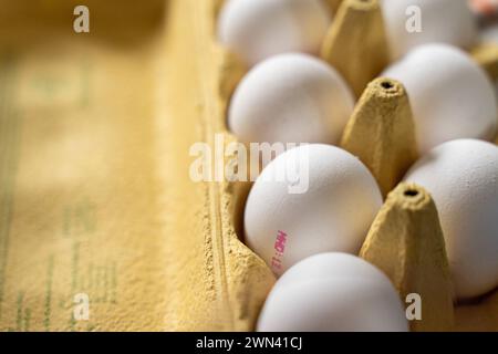 Augusta, Baviera, Germania - 28 febbraio 2024: Uova bianche in una scatola di uova. Uova di pollo *** Weiße Eier in einem Eierkarton. Hühnereier Foto Stock