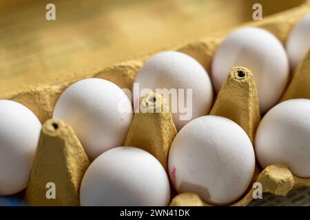 Augusta, Baviera, Germania - 28 febbraio 2024: Uova bianche in una scatola di uova. Uova di pollo *** Weiße Eier in einem Eierkarton. Hühnereier Foto Stock