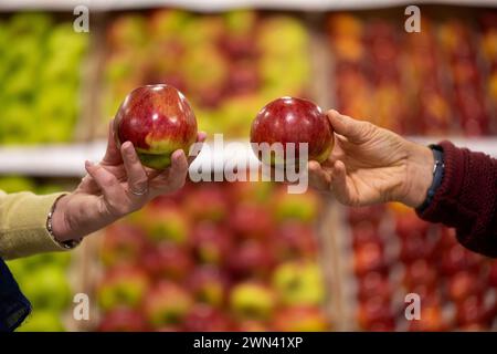 01/11/22 il 89° National Fruit Show al Kent County Showground di Maidstone. La concorrenza è per i coltivatori commerciali che producono per il supermar britannico Foto Stock