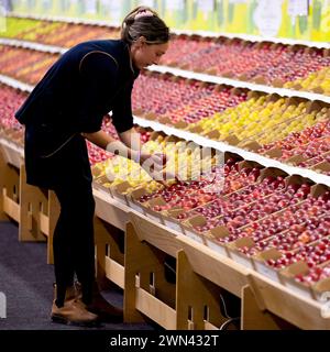 01/11/22 il 89° National Fruit Show al Kent County Showground di Maidstone. La concorrenza è per i coltivatori commerciali che producono per il supermar britannico Foto Stock