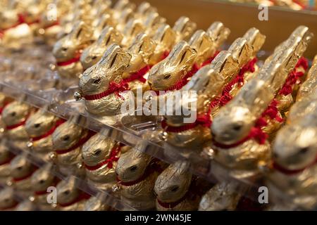 Berlino, Germania. 27 febbraio 2024. Coniglietti d'oro del produttore di cioccolato Lindt in un supermercato, Berlino, 27 febbraio 2024. Credito: dpa/Alamy Live News Foto Stock