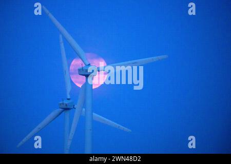 16/04/22 la Luna Rosa sorge dietro le turbine eoliche vicino a Truro, in Cornovaglia stasera. La luna piena di aprile è tradizionalmente conosciuta come la Luna Rosa, come zinco Foto Stock