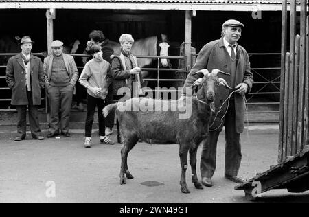 Mercato settimanale dei cavalli del 1980 a Londra Southall. Venivano spesso venduti altri capi di bestiame. Alf Chambers con una capra in vendita. Ealing, West London Inghilterra 1983 HOMER SYKES Foto Stock