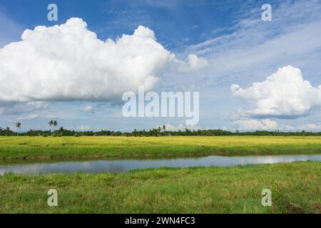 Kuala Kurau e Tg Piandang Perak Malesia Foto Stock