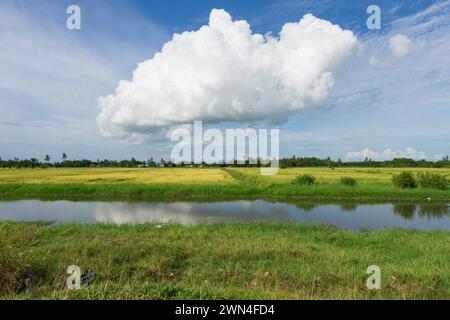 Kuala Kurau e Tg Piandang Perak Malesia Foto Stock