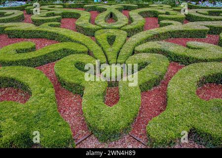 Bellissimi giardini ornati di museo Carnavalet a Parigi Foto Stock