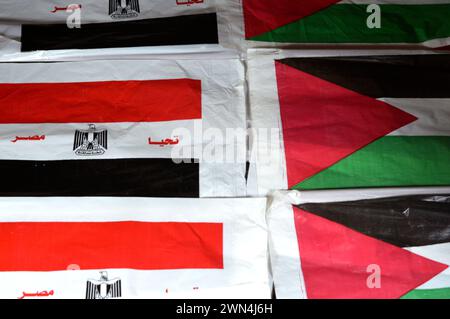 La bandiera egiziana e palestinese, traduzione dell'arabo (lunga vita all'Egitto), bandiera della Palestina e dell'Egitto, l'amicizia tra i paesi arabi con Foto Stock