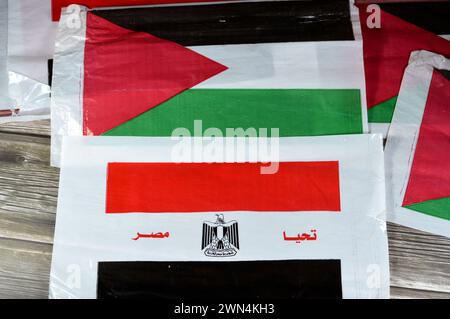 La bandiera egiziana e palestinese, traduzione dell'arabo (lunga vita all'Egitto), bandiera della Palestina e dell'Egitto, l'amicizia tra i paesi arabi con Foto Stock
