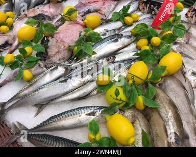 FRANCIA, BORDEAUX, 9 febbraio 2024: Assortimento di pesce fresco al mercato del ghiaccio al supermercato Foto Stock